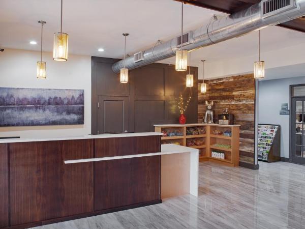 Iris Garden Inn : photo 1 de la chambre chambre lit king-size