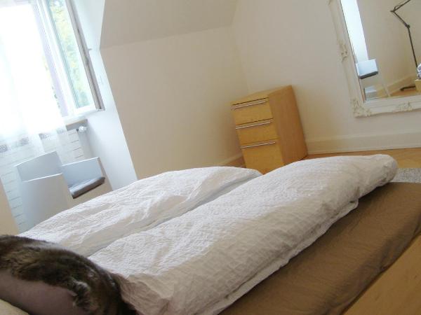 B&B Laupenring, Basel : photo 7 de la chambre chambre double ou lits jumeaux avec salle de bains commune - vue sur jardin