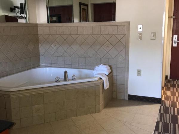 Microtel Inn & Suites by Wyndham Indianapolis Airport : photo 4 de la chambre suite lit queen-size de luxe - non-fumeurs