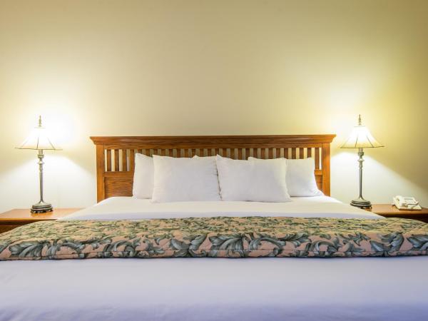 Fort Harrison State Park Inn : photo 2 de la chambre chambre lit king-size - accessible aux personnes à mobilité réduite