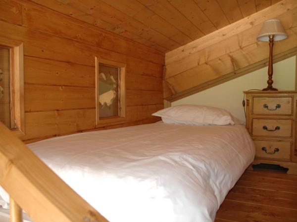 Hôtel et Chalet Au Coin Du Feu Chilly Powder : photo 2 de la chambre chambre familiale classique