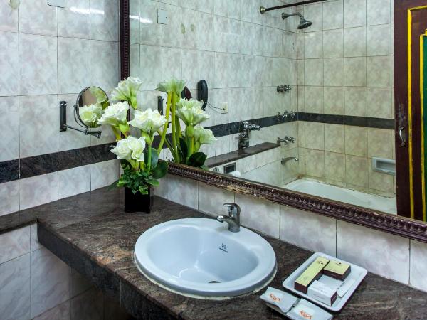 Hotel Sunstar Residency : photo 8 de la chambre chambre double exécutive