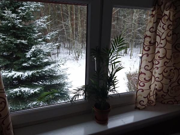 Gościniec Lizawka : photo 4 de la chambre chambre lit king-size - vue sur jardin