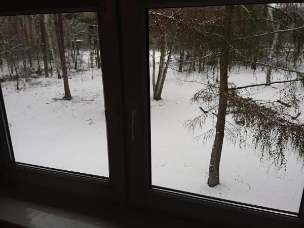 Gościniec Lizawka : photo 4 de la chambre chambre double deluxe