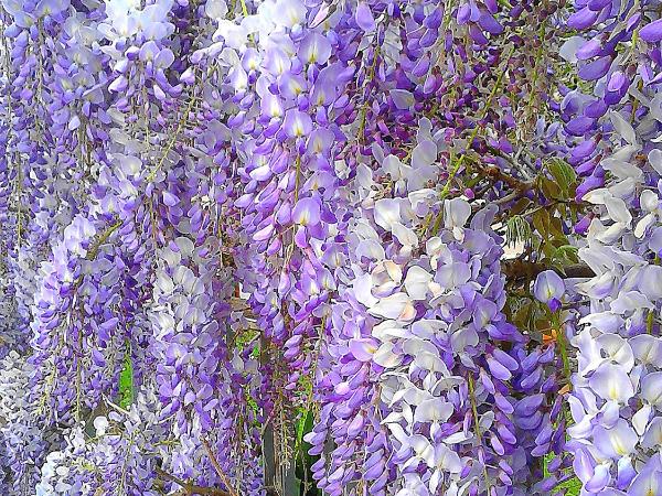 Geoglobe Chambre d'Hòtes : photo 9 de la chambre chambre quadruple avec salle de bains privative