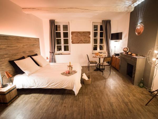 La Maison Gustave : photo 1 de la chambre suite junior - vue sur jardin - explorateurs