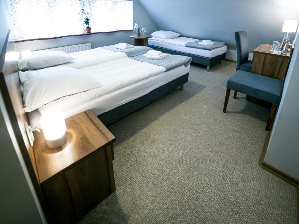 Gościniec Lizawka : photo 1 de la chambre chambre triple confort avec douche