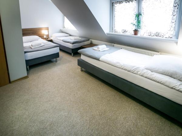 Gościniec Lizawka : photo 4 de la chambre chambre lits jumeaux deluxe