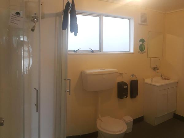 Camellia Court Family Motel : photo 6 de la chambre appartement 1 chambre