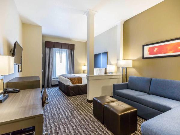 Comfort Suites Near Sam Houston Race Park : photo 5 de la chambre suite lit king-size – non-fumeurs