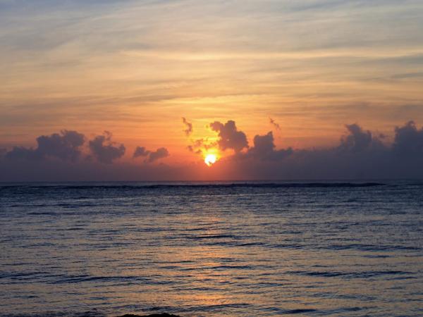 Cielo Maya Beach Tulum : photo 8 de la chambre hébergement junior de luxe - vue sur mer