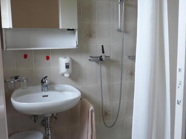 Osteria Ticino by Ketty & Tommy : photo 4 de la chambre chambre simple avec balcon et vue sur la montagne