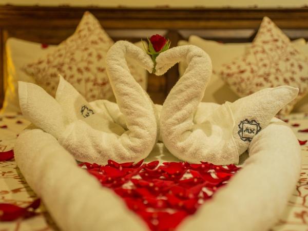 Traditional Comfort Boutique Hotel : photo 7 de la chambre chambre lit king-size