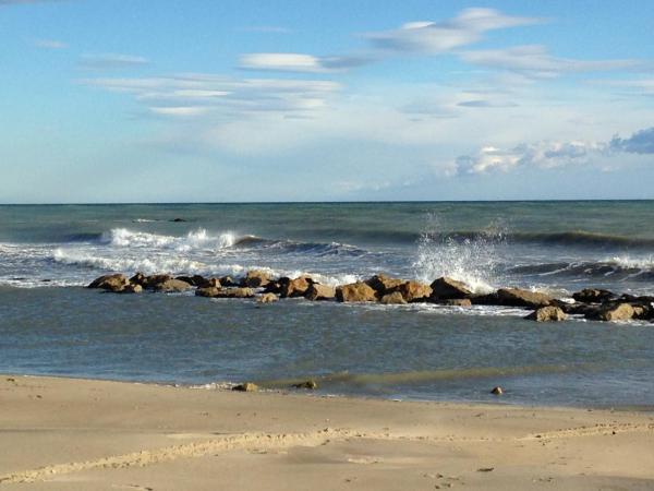 Mas des Rièges & Spa : photo 8 de la chambre maisonnette gardian