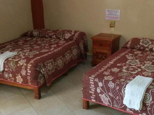 Hotel y Bungalows Olivares : photo 6 de la chambre chambre double ou lits jumeaux