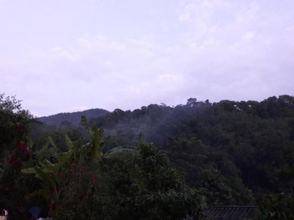 Pingpong's House Koh Chang : photo 10 de la chambre chambre lits jumeaux standard - vue sur montagne