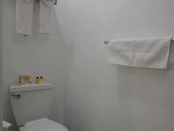 Hôtel Marie-Rollet : photo 5 de la chambre chambre lit queen-size - demi sous-sol