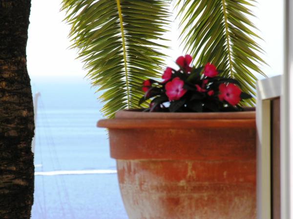Hôtel La Flore : photo 6 de la chambre chambre double avec terrasse - vue sur mer