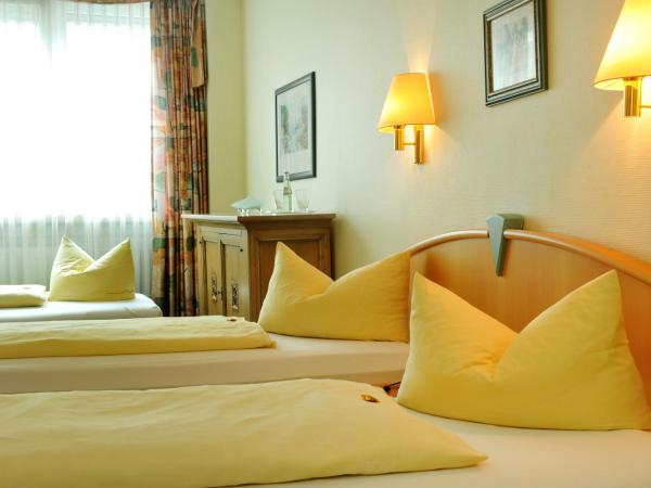 Hotel Stadt München : photo 1 de la chambre chambre triple standard