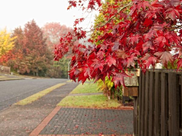 B&B@The Redwoods : photo 7 de la chambre chambre double avec salle de bains