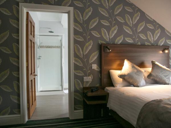 Manor Parc Hotel : photo 3 de la chambre chambre double
