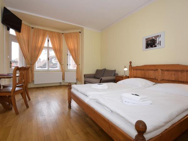 Pension Zámecká Apartmá - Castle Apartments : photo 7 de la chambre chambre double Économique