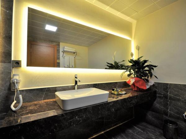 Double Comfort Hotel : photo 6 de la chambre suite