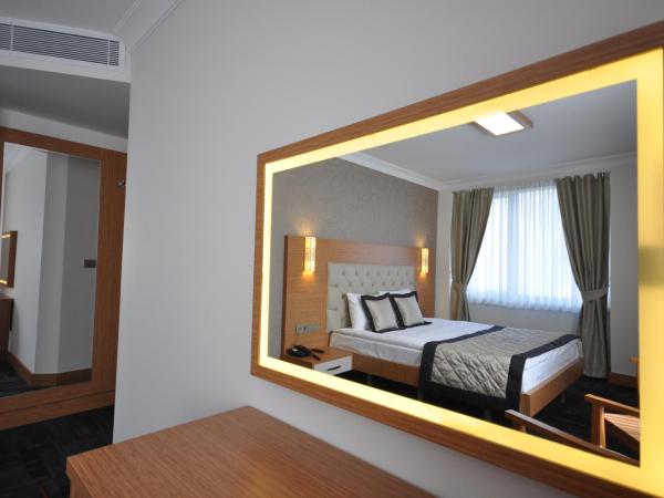 Double Comfort Hotel : photo 3 de la chambre grande chambre double 