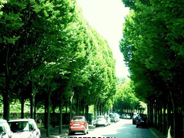 Morehampton Townhouse : photo 8 de la chambre chambre double