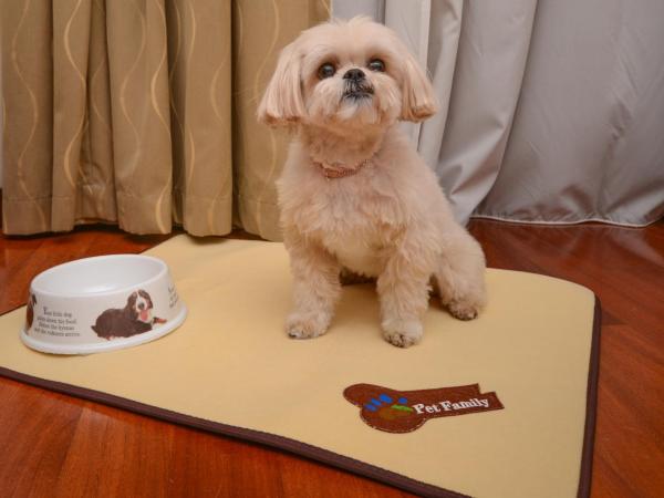 Hotel Igea : photo 3 de la chambre chambre simple standard