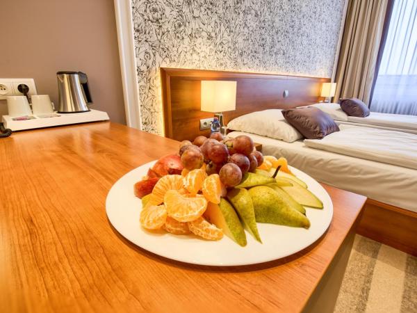 Avanti Hotel : photo 6 de la chambre chambre double ou lits jumeaux premium avec accès au centre relax public