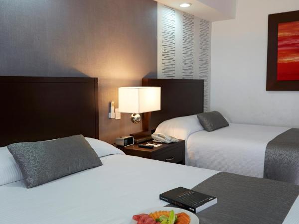 Ejecutivo Express Guadalajara Providencia - Av México : photo 4 de la chambre suite exécutive