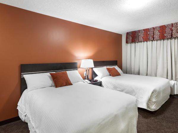 Royal Lodge : photo 2 de la chambre chambre double