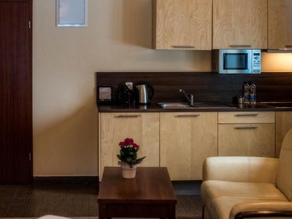 Hotel Murowanica : photo 1 de la chambre studio