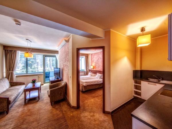 Hotel Murowanica : photo 4 de la chambre appartement deluxe