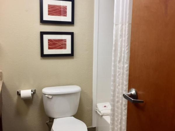 Comfort Inn & Suites Airport-American Way : photo 3 de la chambre chambre avec 2 grands lits queen-size