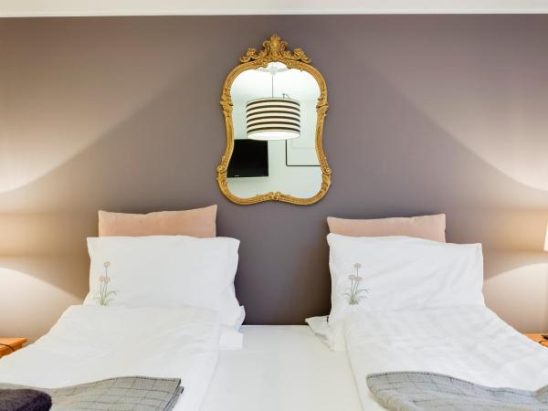 Freyja Guesthouse & Suites : photo 10 de la chambre chambre double ou lits jumeaux de luxe avec salle de bains commune