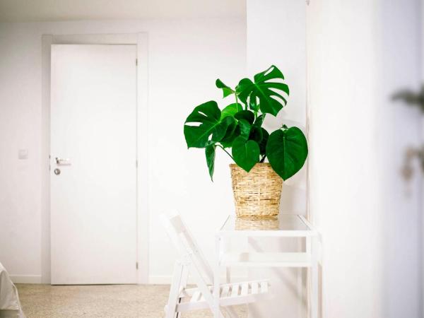 B&B El Mercat : photo 1 de la chambre chambre quadruple