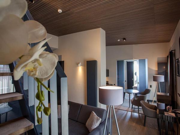 Ilonn Boutique Limanowskiego : photo 4 de la chambre penthouse