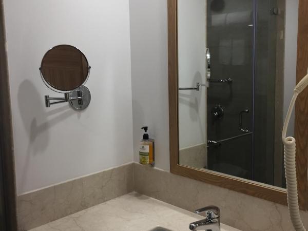 Red Fox by Lemon Tree Hotels, Sector 60, Gurugram : photo 5 de la chambre business double room (happy hours 1 + 1 imfl (select brands))