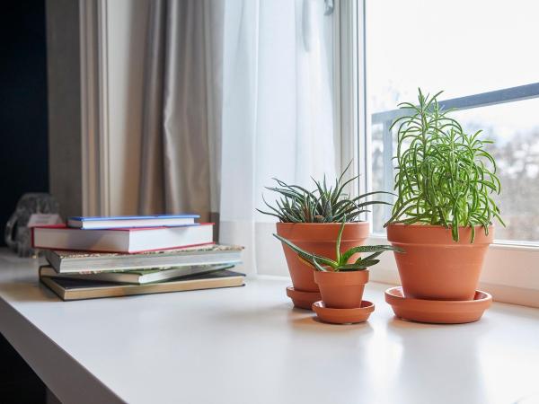 Hotel Anker Luzern : photo 5 de la chambre chambre double moyenne standard