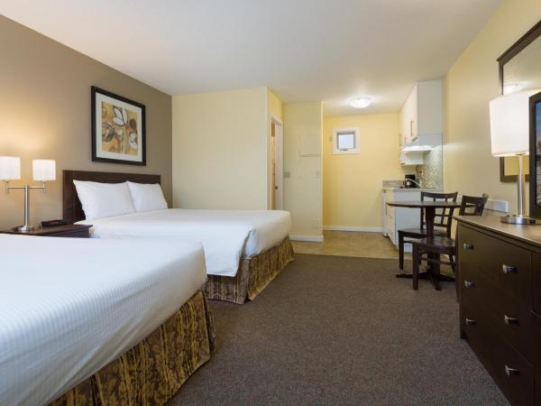 Siesta Suites : photo 9 de la chambre grande chambre avec 2 lits queen-size et kitchenette