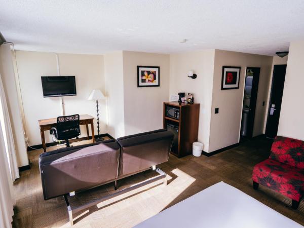 Stay Hotel Waikiki : photo 7 de la chambre chambre lit queen-size avec canapé-lit