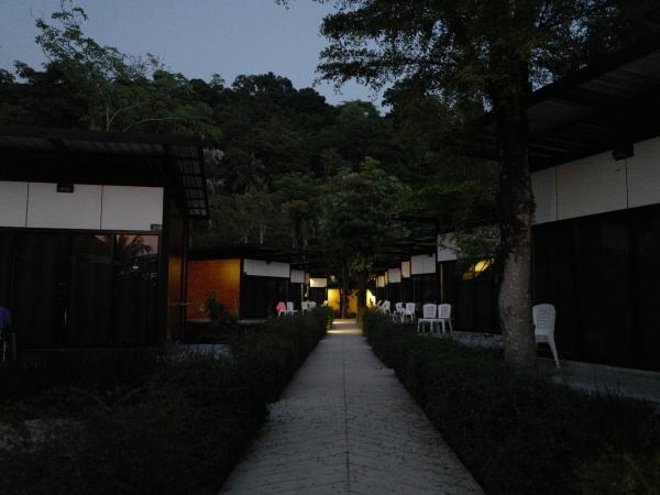 Nature Beach Resort : photo 9 de la chambre chambre double - vue sur jardin