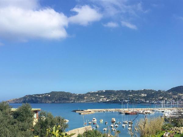 Harbour View B&B : photo 3 de la chambre chambre double - vue sur mer
