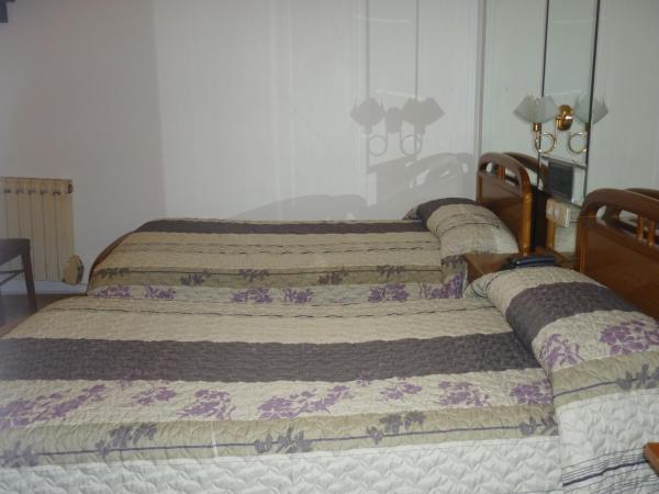 Hotel Francisco Javier : photo 5 de la chambre chambre lits jumeaux