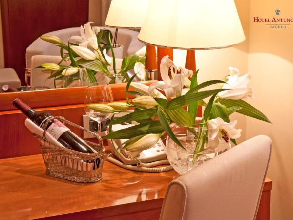 Hotel Antunovic Zagreb : photo 4 de la chambre chambre double supérieure