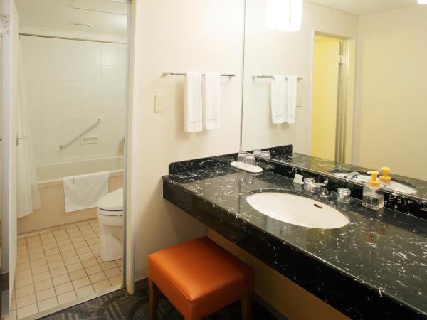 Sapporo Excel Hotel Tokyu : photo 5 de la chambre chambre lits jumeaux supérieure avec lit d'appoint - non-fumeurs - Étage avec vue sur excel