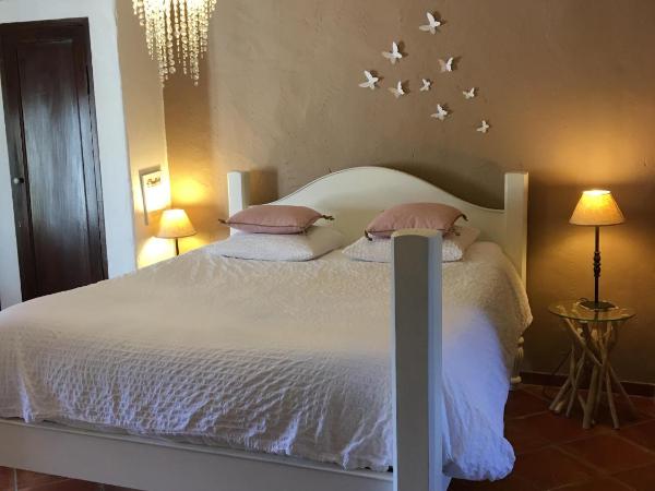 chambres d hotes Le Mas Julien piscine chauffée adult only : photo 3 de la chambre chambre double - vue sur jardin (mireille)