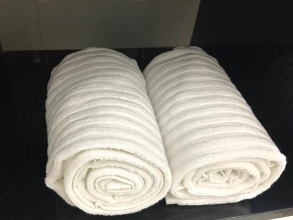 Herbal Inn Suites : photo 10 de la chambre studio - accessible aux personnes à mobilité réduite 